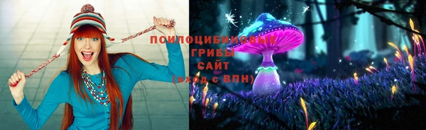 тгк Алзамай