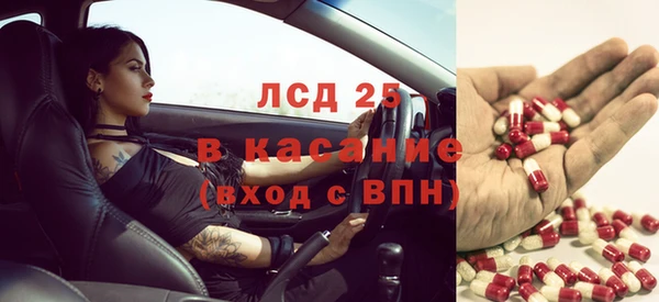 тгк Алзамай