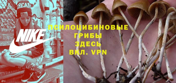 не бодяженный Абаза