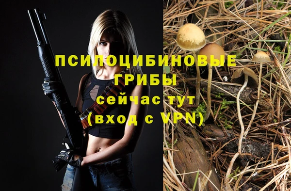 PSILOCYBIN Алексин