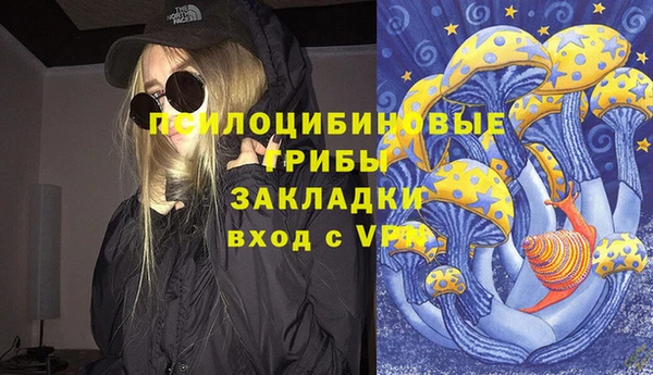 PSILOCYBIN Алексин